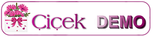 cicekci demo